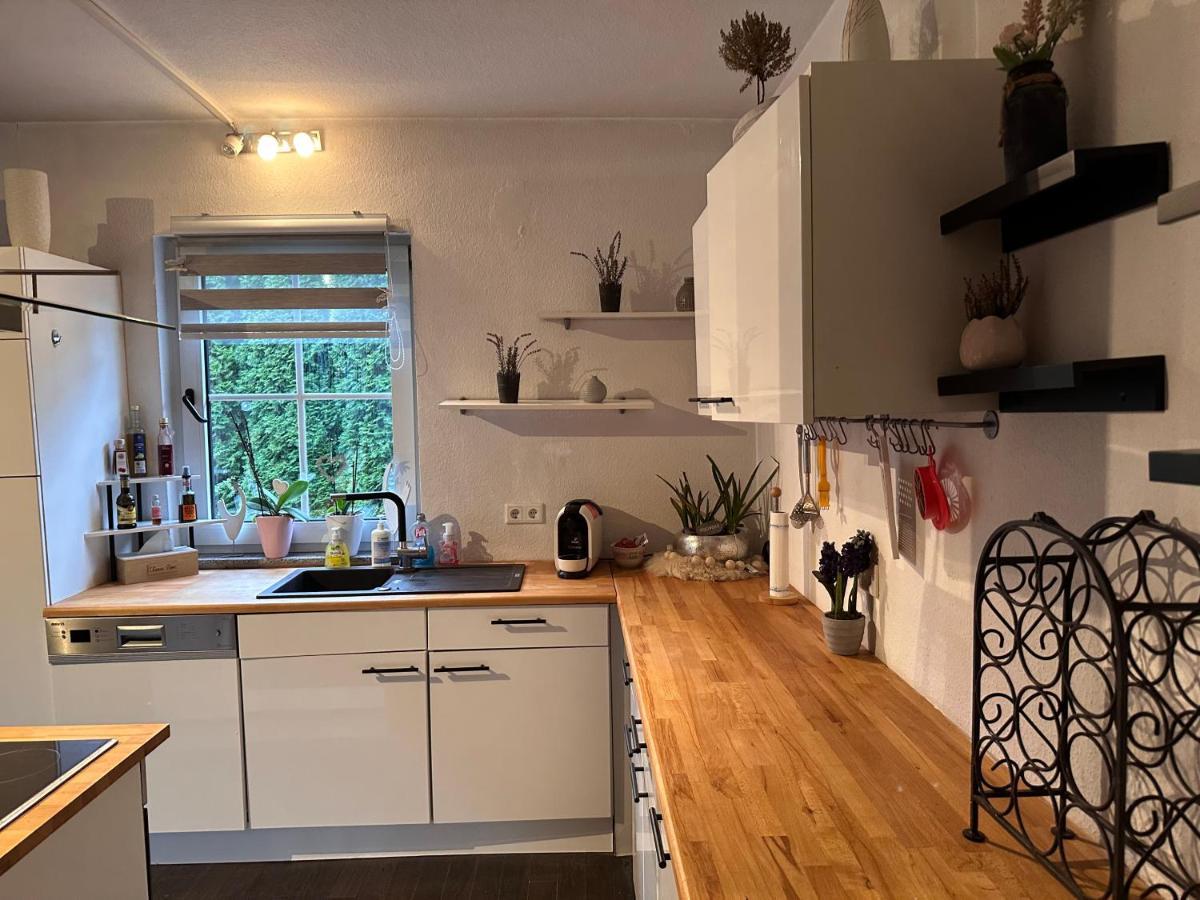 4 Zimmer 11 Personen Wohnung Garten Terrasse Grill 2 Badezimmer Wuppertal Ngoại thất bức ảnh